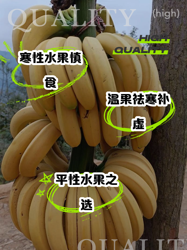 安卓版水果狂热水果忍者安卓版正版下载-第2张图片-太平洋在线下载