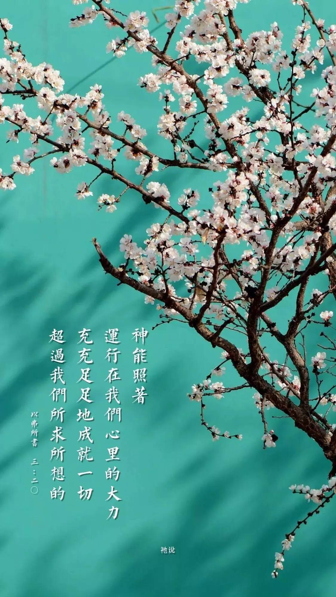 基督教圣经下载手机版微读圣经手机版下载免费版